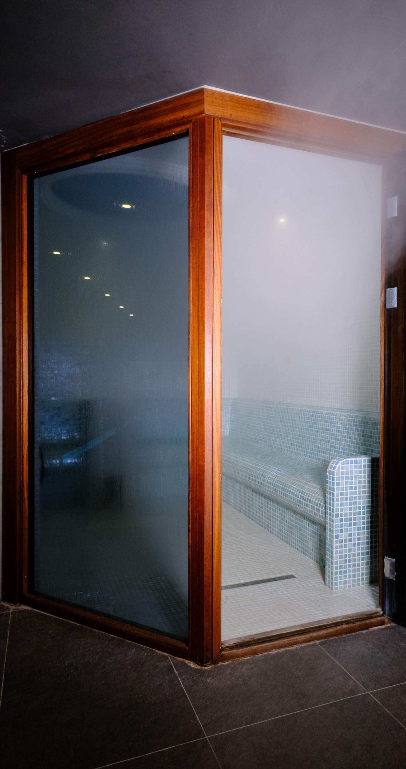 Salus Spa buhar odası